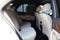 2026 Mercedes-Benz GLE GLE 350W