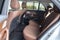 2025 Mercedes-Benz GLE GLE 350W