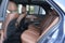 2025 Mercedes-Benz GLE GLE 450W4
