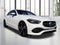 2023 Mercedes-Benz C-Class C 300W